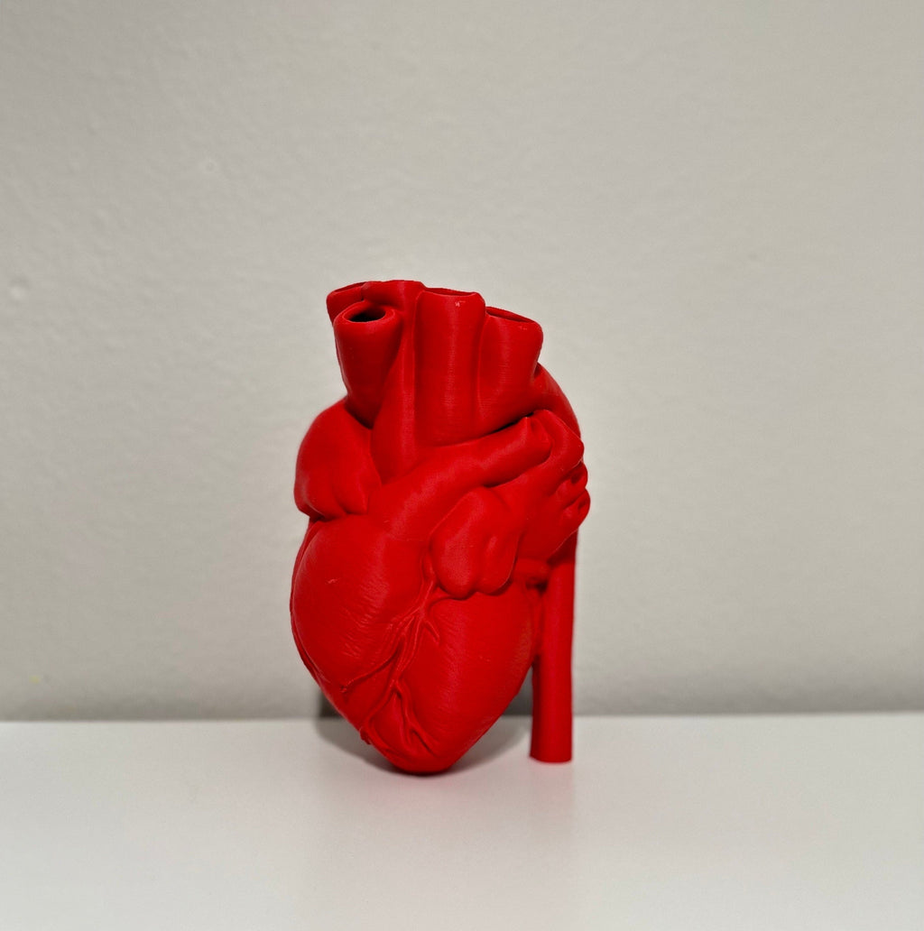 Human Heart Vase, 3D Printed Vase, Realistic Human Heart, Decor Accessories, Unique Desk Planter, Heart Planter