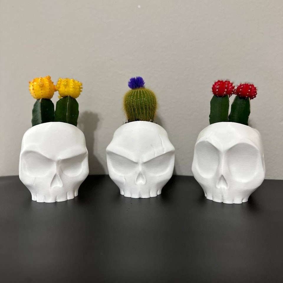 Skull Planter Pot - Unique Skull Pot for 3D Printing Enthusiasts, Skull Planter Pot - Human Skull - Skull Vase - Skull Pot - Skull Planter