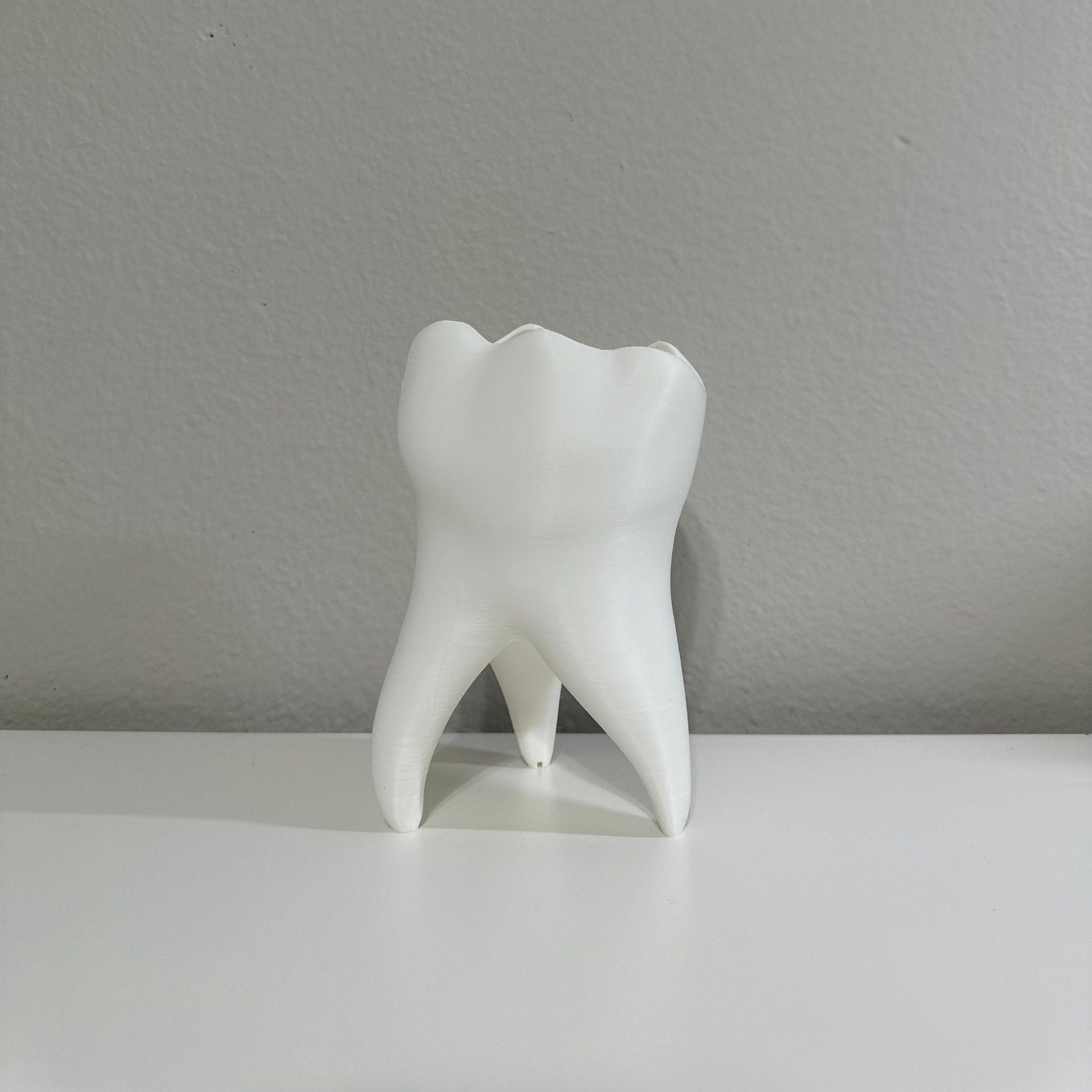 Tooth Shape Plant Pot - Cute Tooth Planter - Dentist Gift Ideas - Tooth Home Decor - Dental Office Decor - Dentist Office Pen Holder