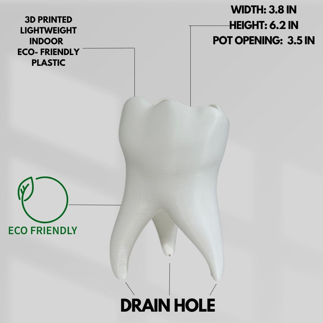 Tooth Shape Plant Pot - Cute Tooth Planter - Dentist Gift Ideas - Tooth Home Decor - Dental Office Decor - Dentist Office Pen Holder