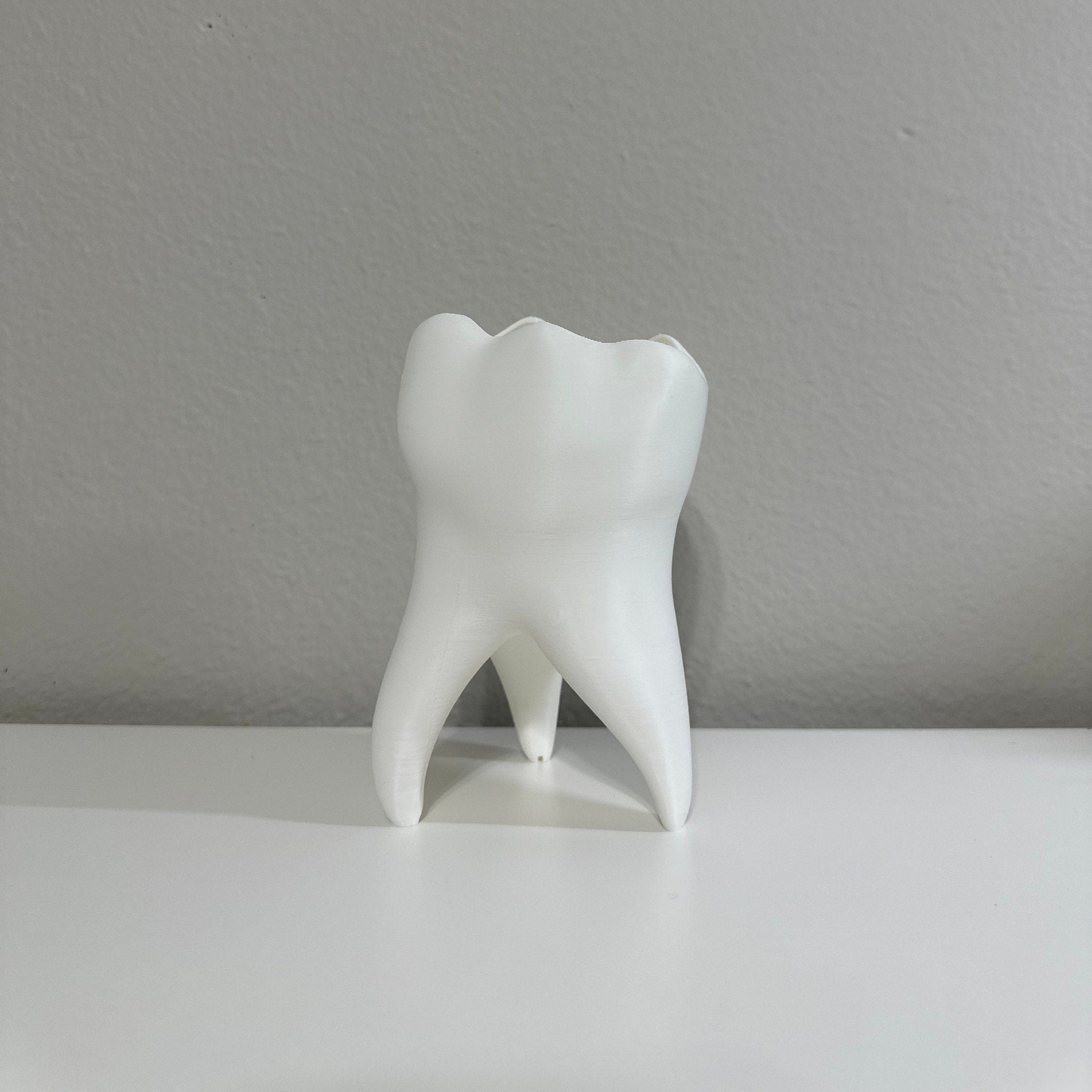 Tooth Shape Plant Pot - Cute Tooth Planter - Dentist Gift Ideas - Tooth Home Decor - Dental Office Decor - Dentist Office Pen Holder