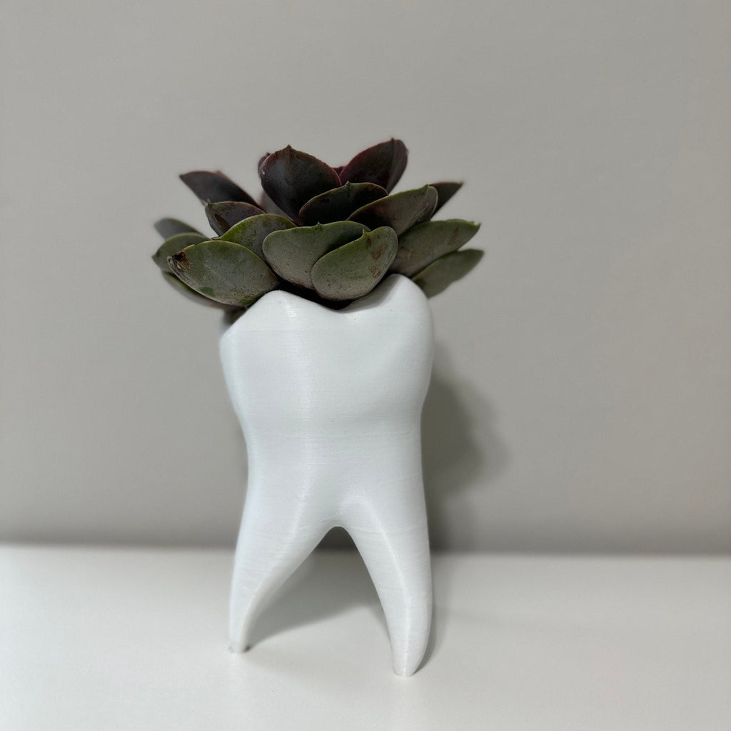 Tooth Shape Plant Pot - Cute Tooth Planter - Dentist Gift Ideas - Tooth Home Decor - Dental Office Decor - Dentist Office Pen Holder