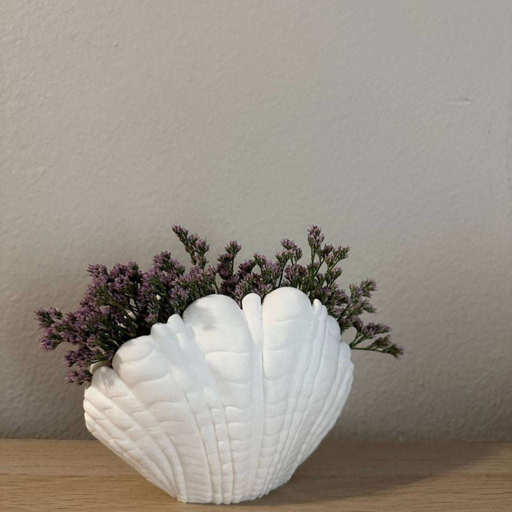 Shell Vase, seashell vase, flower vase, beach decor, Oyster vase Creative Shell 3D Printed Vase, Flower Pot Home Decoration