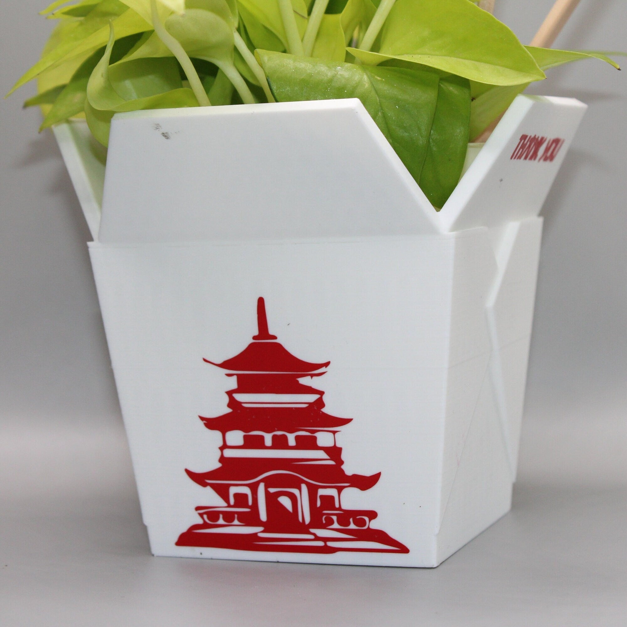 Chinese Planter Take-Out Box  Misprints Ready to ship - failed prints -FREE TWO CHOPSTICKS - Chinese Take out Planter 3D printed planter