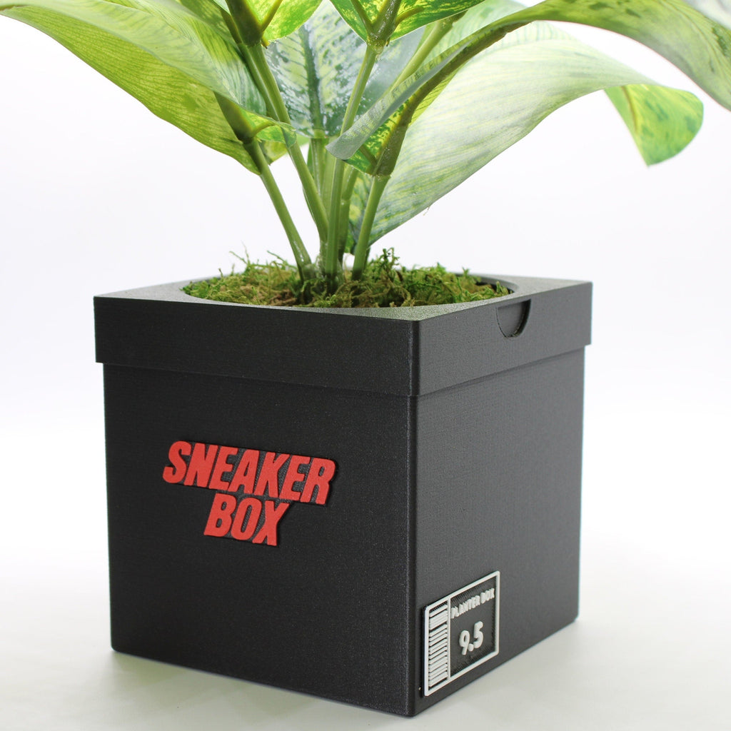 Sneakers Box Planter Pot - 3d printed planter - Sneakers Box Decor - Plant Pot for Indoor Plants - Unique planter with Drainage hole