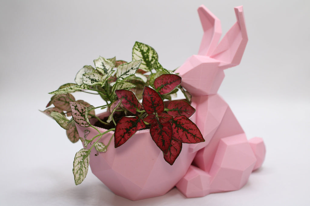 Polygonal shelter Bunny Planter - Rabbit Planter Pot Easter Decor - Easter Planter - 3D Printed Planter