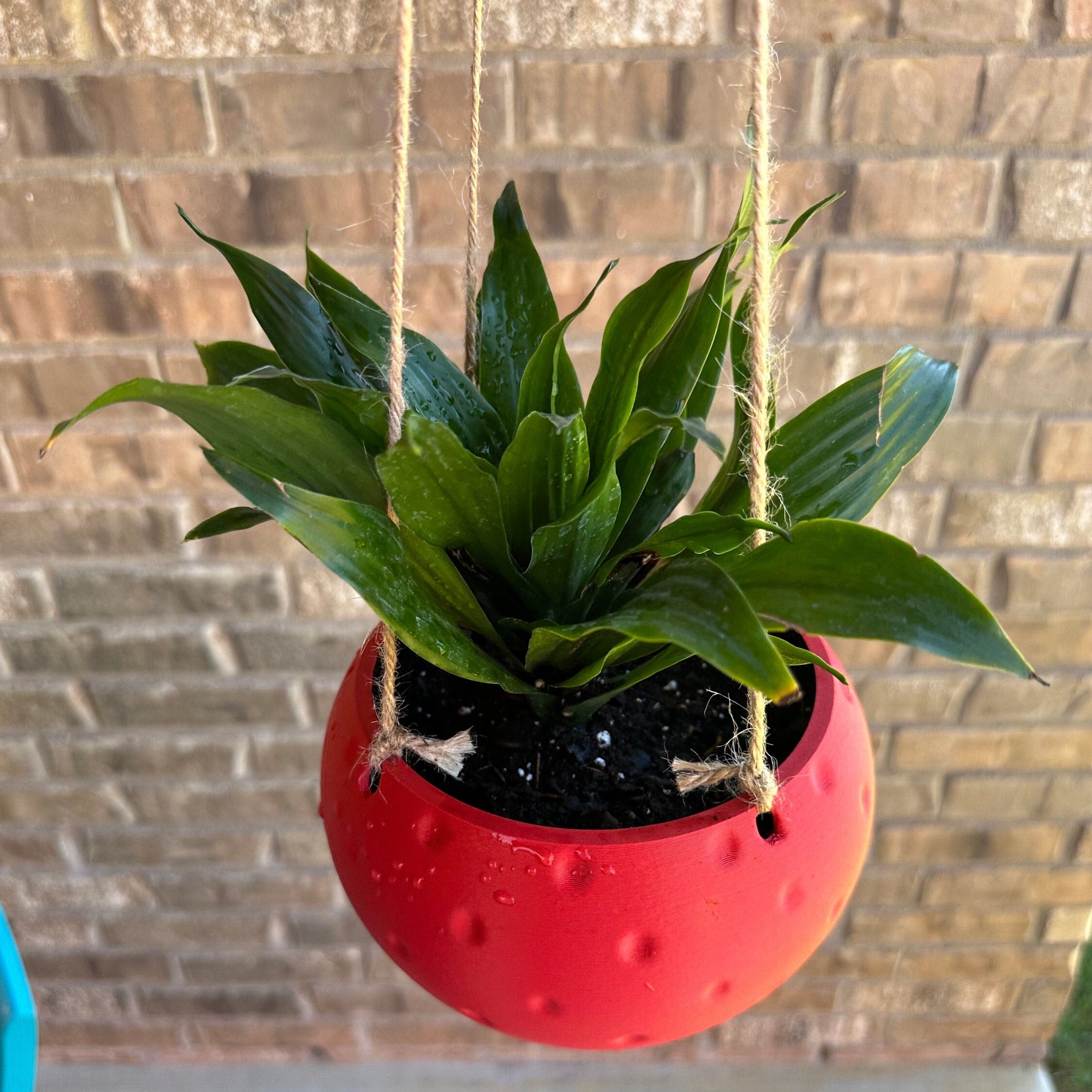 Sweet Strawberry Hanging Planter with Included Hanging Kit - Handmade 3D Printed Vase - 3D Printed Planter - Strawberry Vase