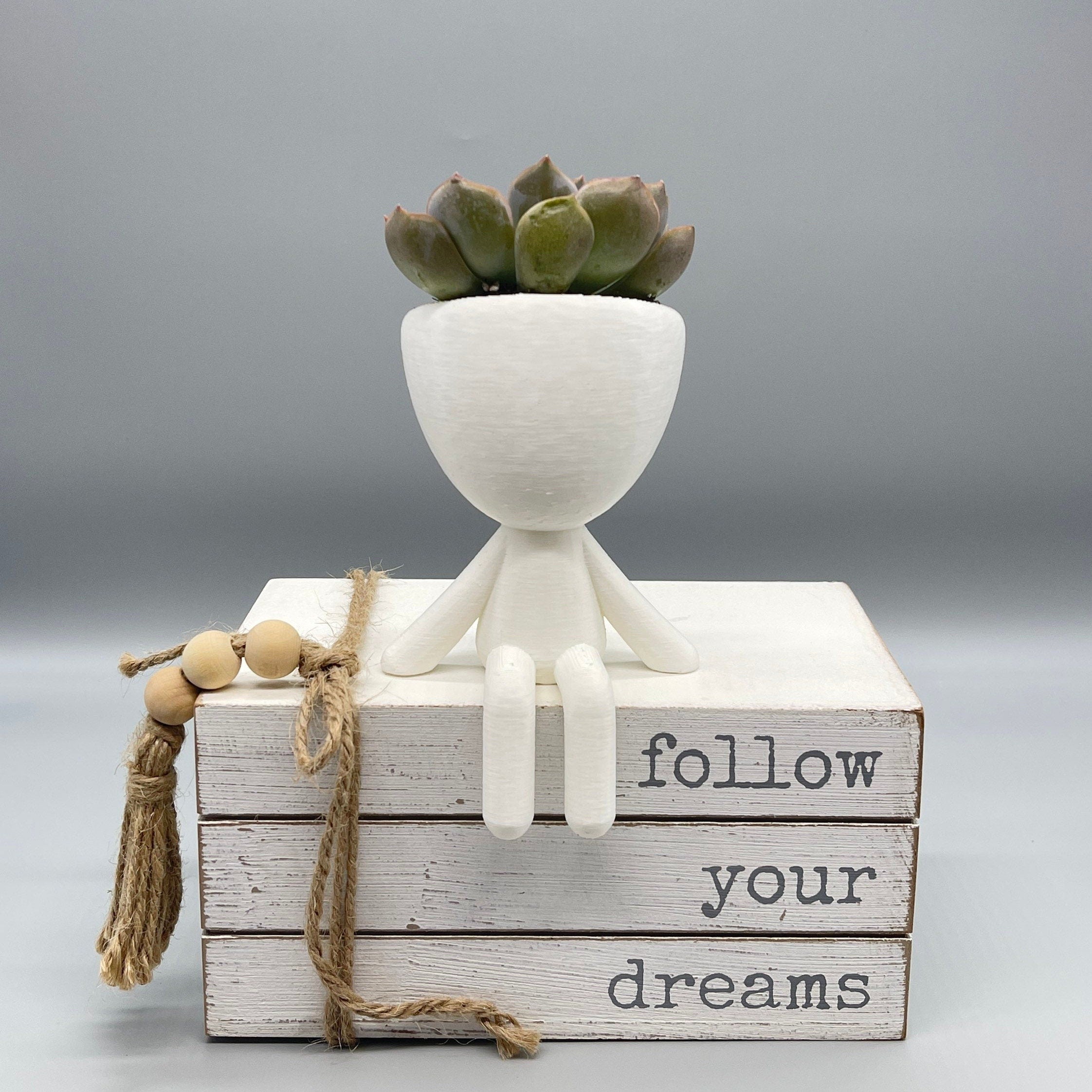 Robert the Cute Planter Set - Unique Succulent Plant Pots for Zen Vibes - 3D Printed Planter