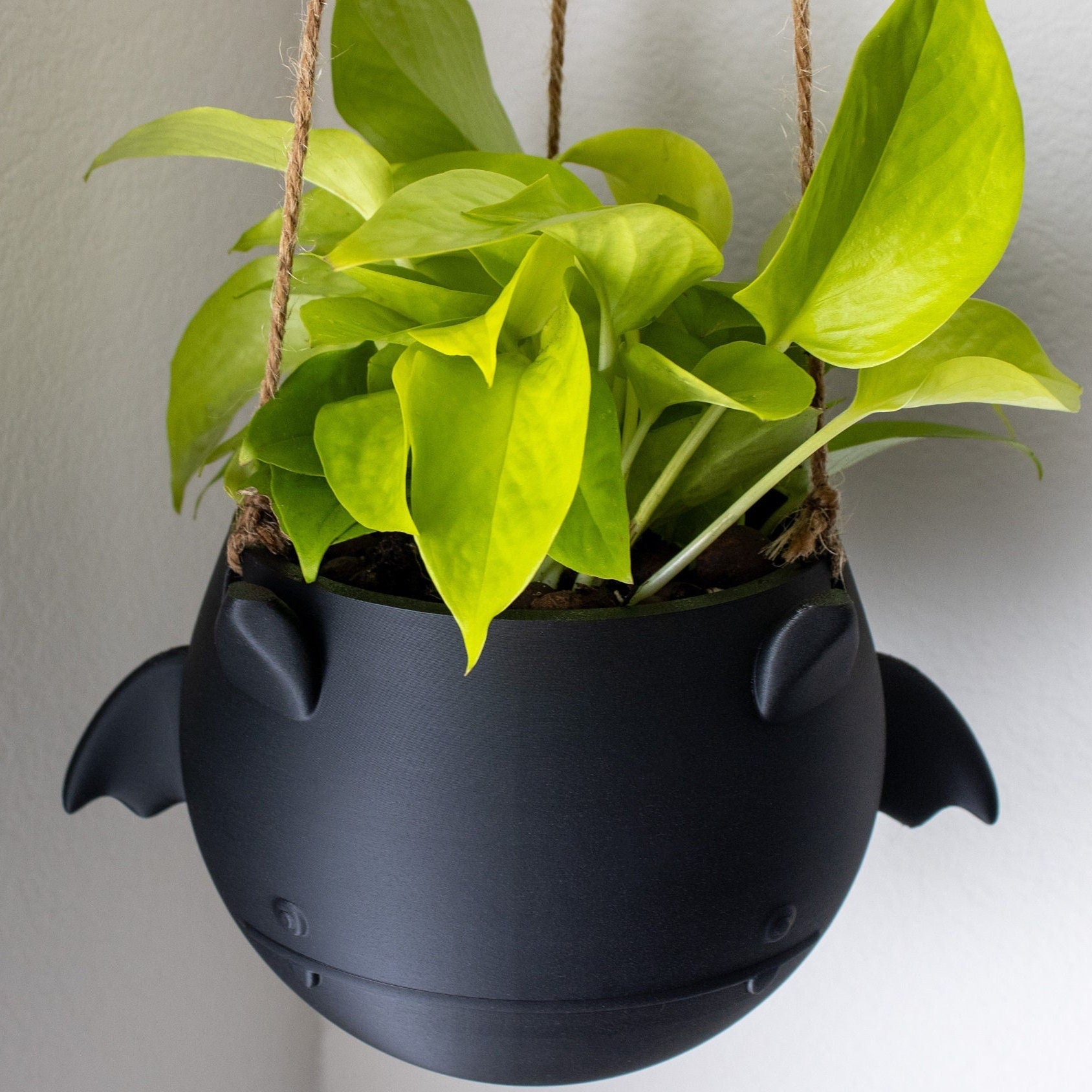 Bat Hanging Planter Pot - Hanging kit included - Flying Bat - Succulent Planter - 3D Printed - Gardening Enthusiasts- Halloween Decor