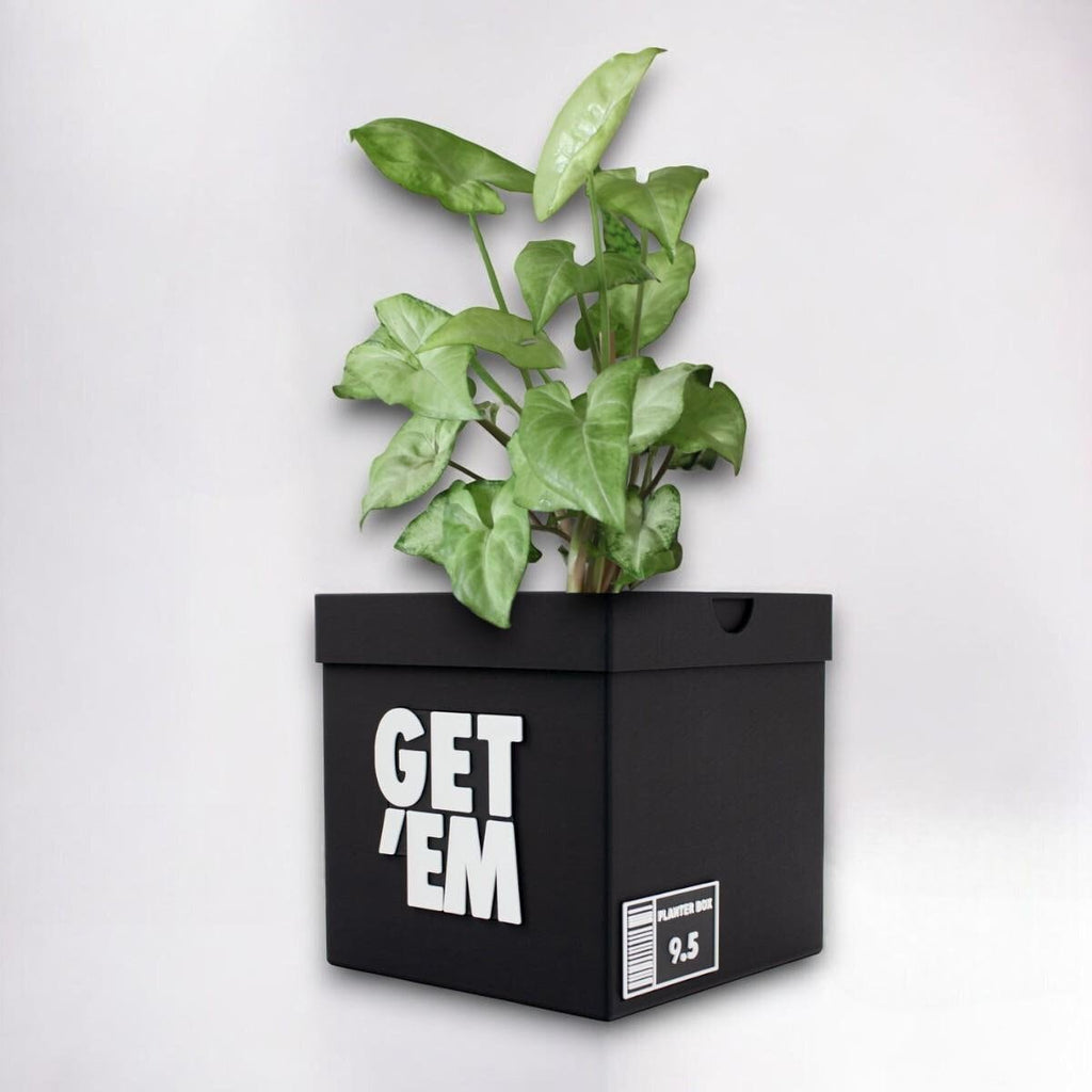 Get 'Em Sneakers Box Planter Pot - 3D Printed - Sneaker Room Decor - Sneaker Head Decor- Unique planter Get em for indoor with Drainage hole