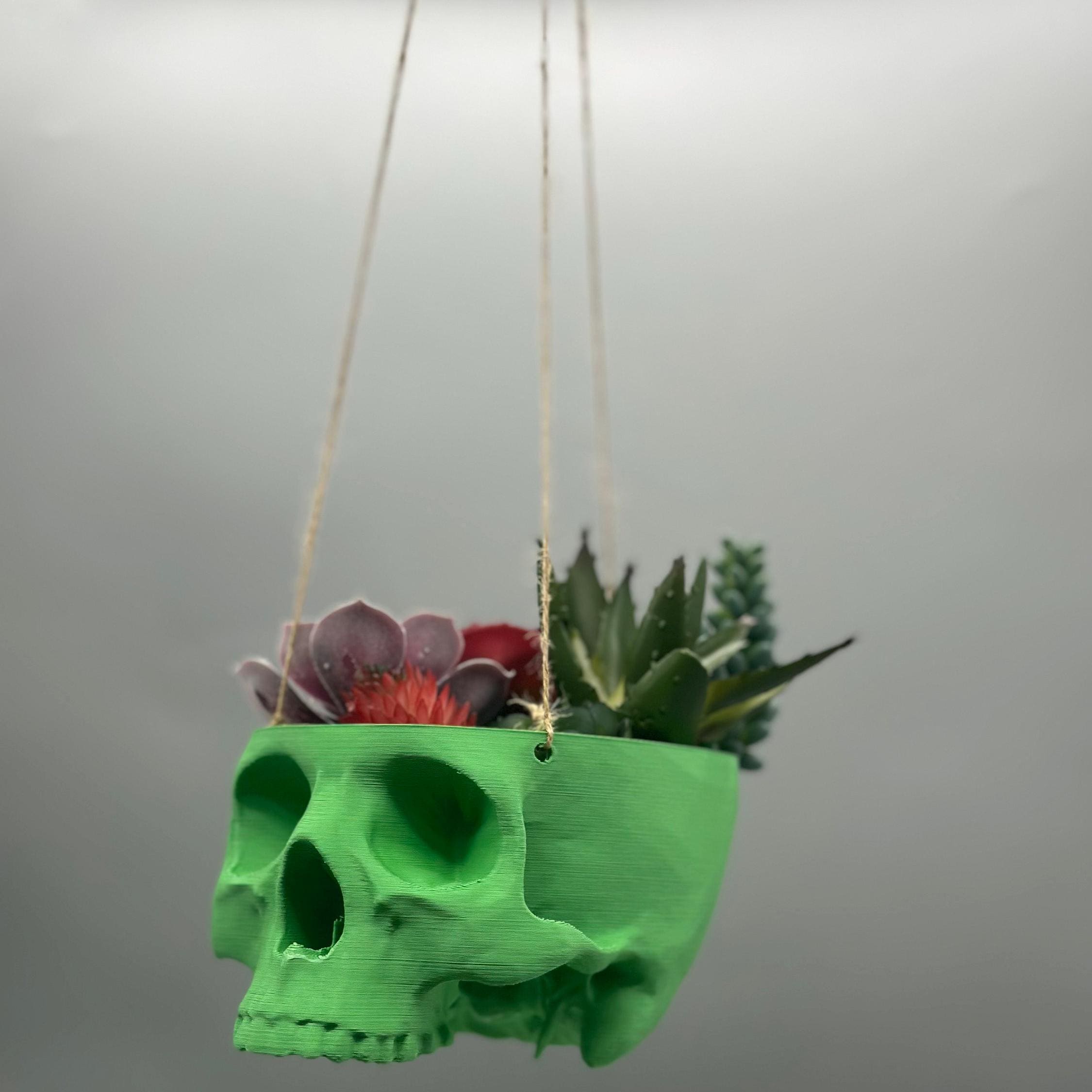 Skull Hanging Planter Pot, hanging kit included - Succulent Planter - 3D Printed - skull planter pot - halloween decor