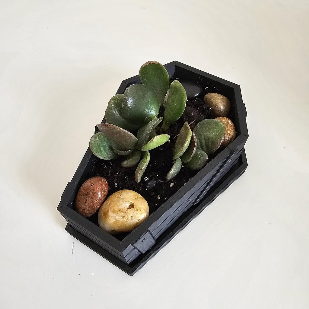 Halloween Decor Coffin - Planter Pots With Drainage - Home Decor - Spooky Plant Pot - Gothic Garden - Hoco Pucus -3D Printed Halloween decor