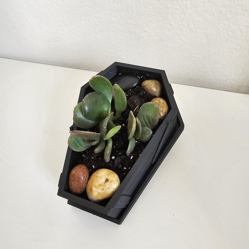 Halloween Decor Coffin - Planter Pots With Drainage - Home Decor - Spooky Plant Pot - Gothic Garden - Hoco Pucus -3D Printed Halloween decor