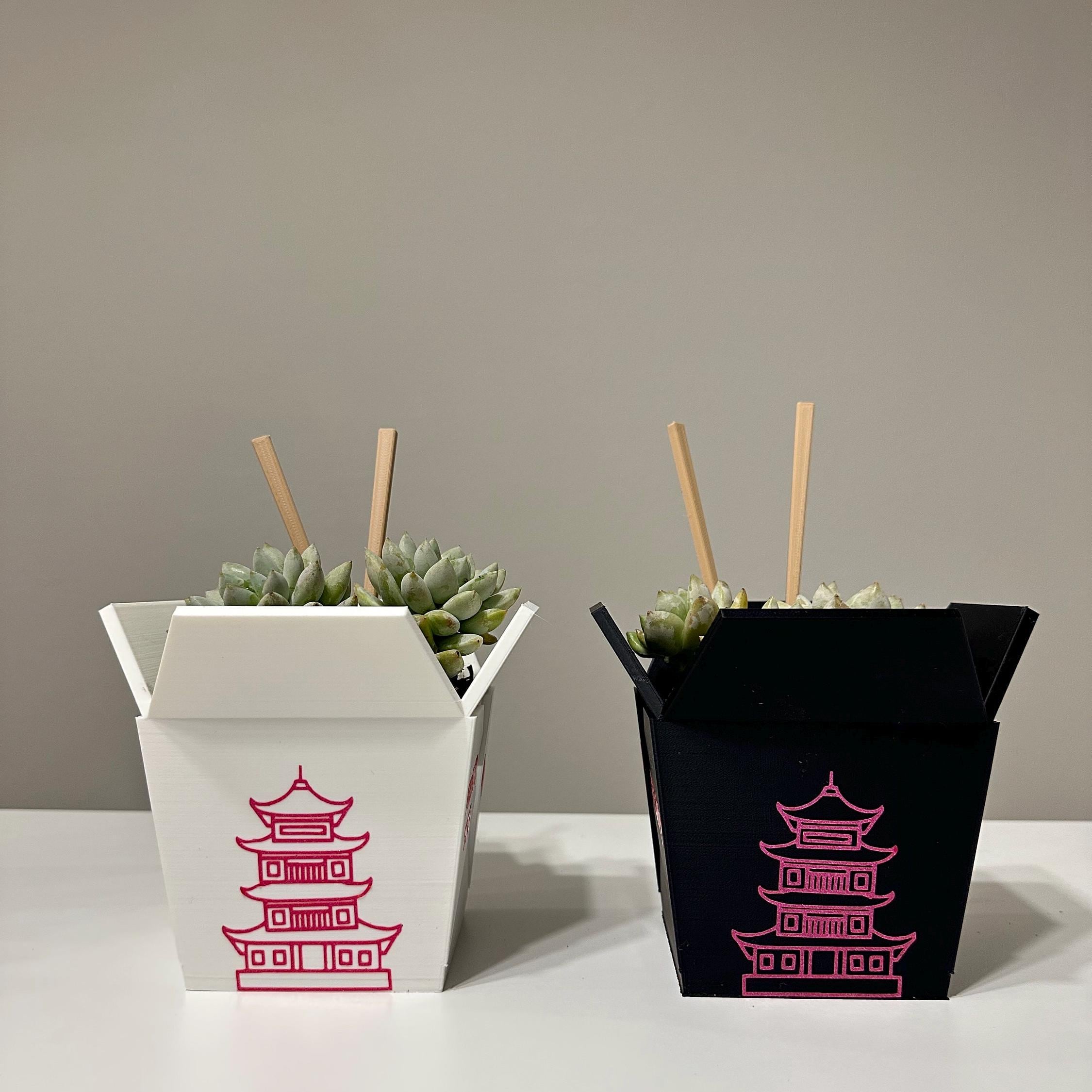 Chinese Planter Take-Out Box - FREE TWO CHOPSTICKS - Chinese Take out Planter - takeout chinese - 3D printed planter