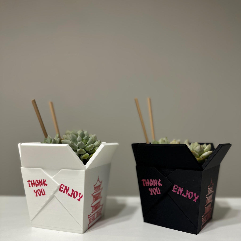 Chinese Planter Take-Out Box - FREE TWO CHOPSTICKS - Chinese Take out Planter - takeout chinese - 3D printed planter