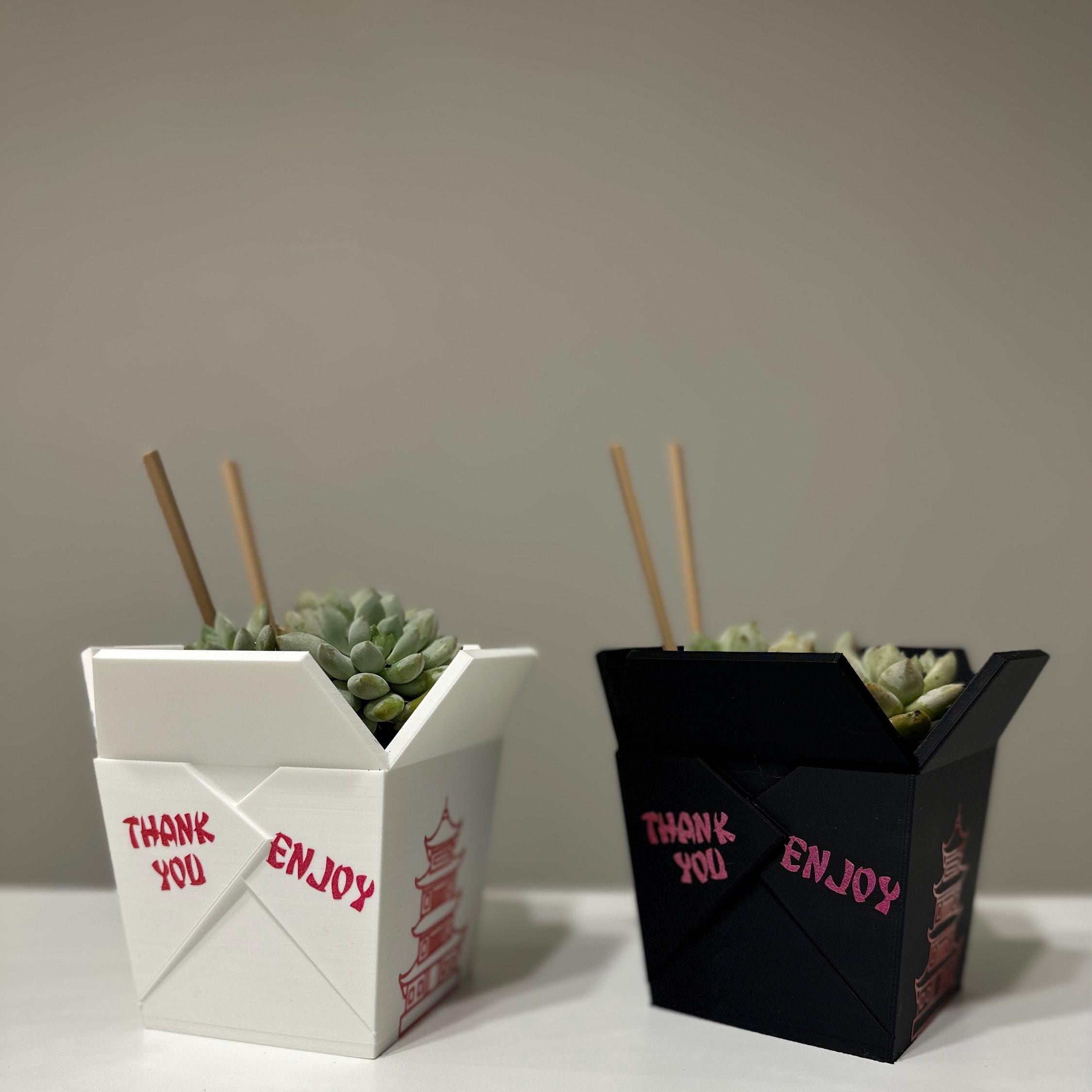 Chinese Planter Take-Out Box - FREE TWO CHOPSTICKS - Chinese Take out Planter - takeout chinese - 3D printed planter