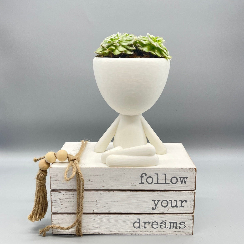 Person Planters - Plant Pot Robert - Zen Planter - cute planters - happy pot - 3d printed planter - plant lovers gift - Succulent Planter