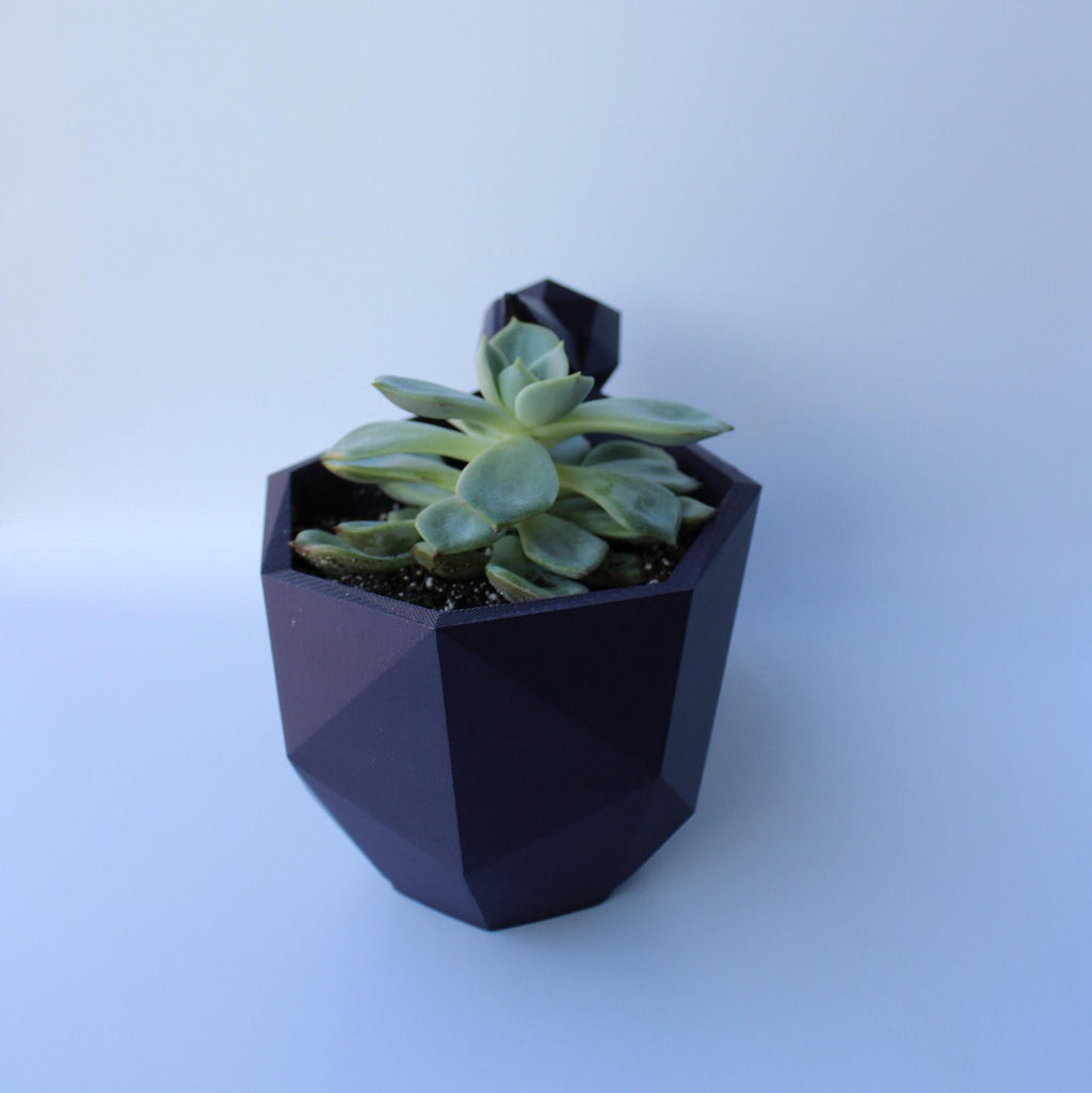 Polygonal Pelican Succulent Planter with Drainage - Cute Plant Pot for Indoor Plants - Stork - 3D Printed Planter - Plant Lovers Gift