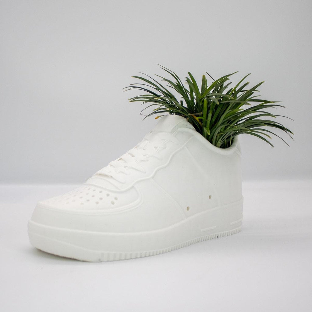 Sneakers Shoes Low Planter Pot 3D Printed - Plant Pot for Indoor Plants - Unique Planter For Indoor With Drainage Hole