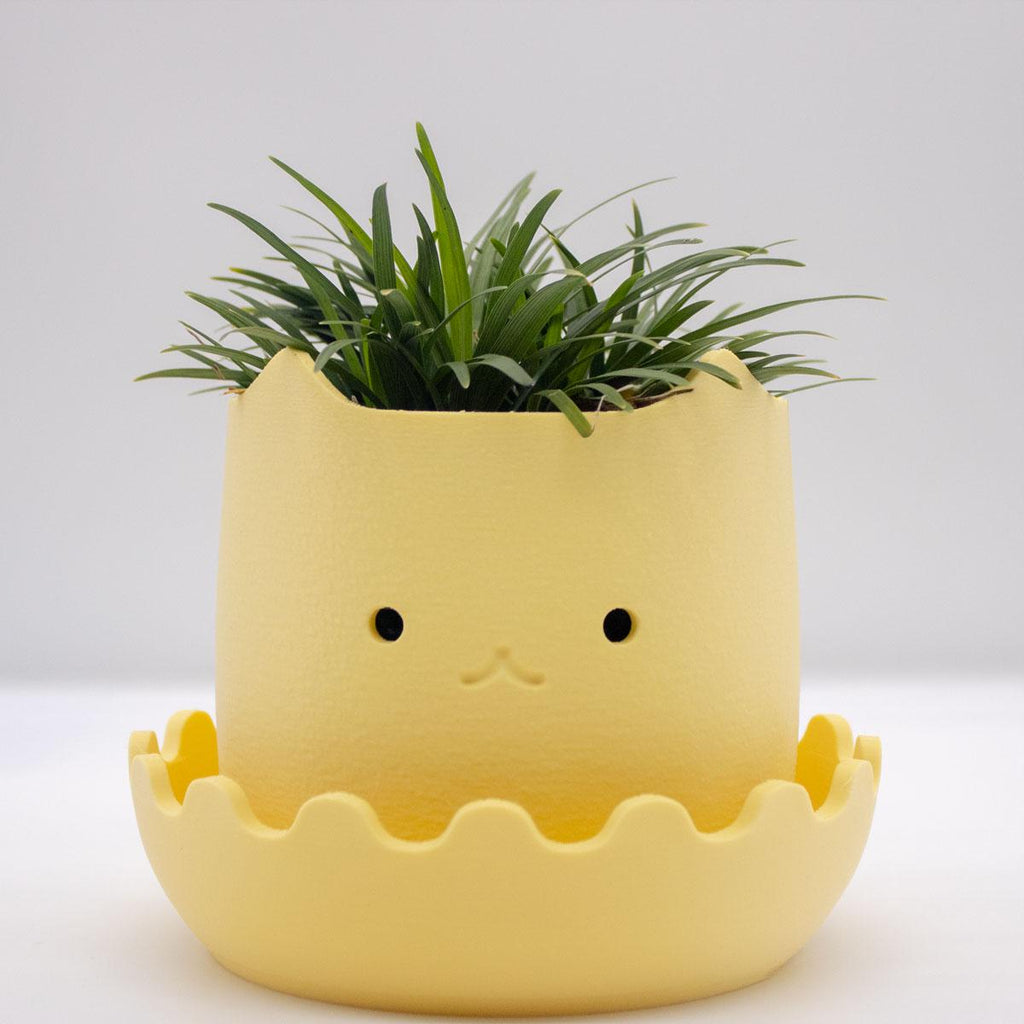 Crying Pots for Indoor Plants - Happy Plant Pot - Smiling Decor -Cute Gardening Gift, 3D printed planter