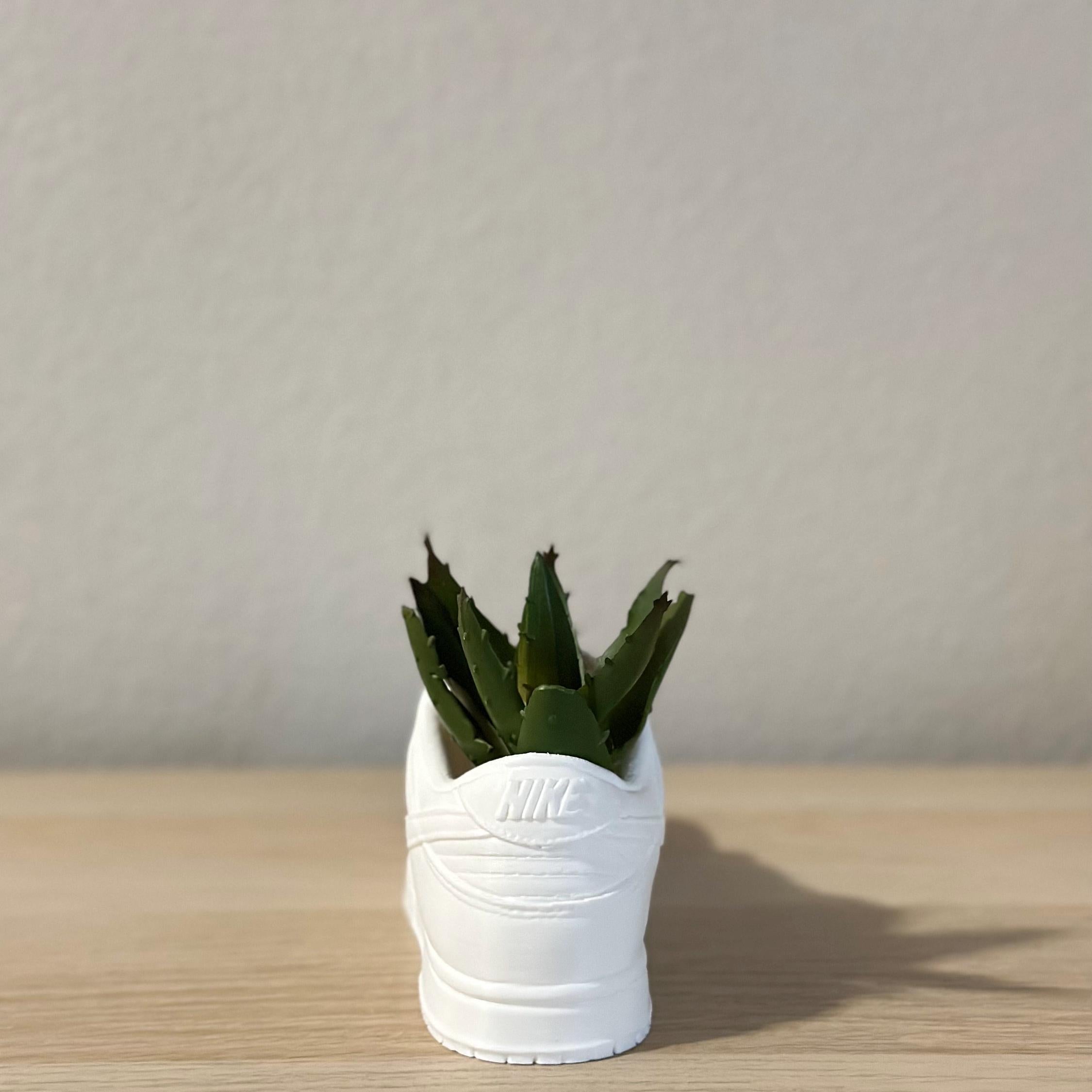 Sneakers Style Dunk Planter Pot - Pencil Cup Holder - Desk Organiser - Sneaker Head