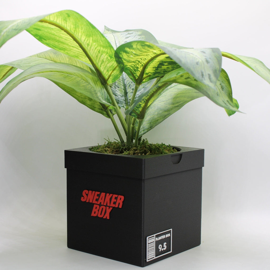 Sneakers Box Planter Pot - 3d printed planter - Sneakers Box Decor - Plant Pot for Indoor Plants - Unique planter with Drainage hole