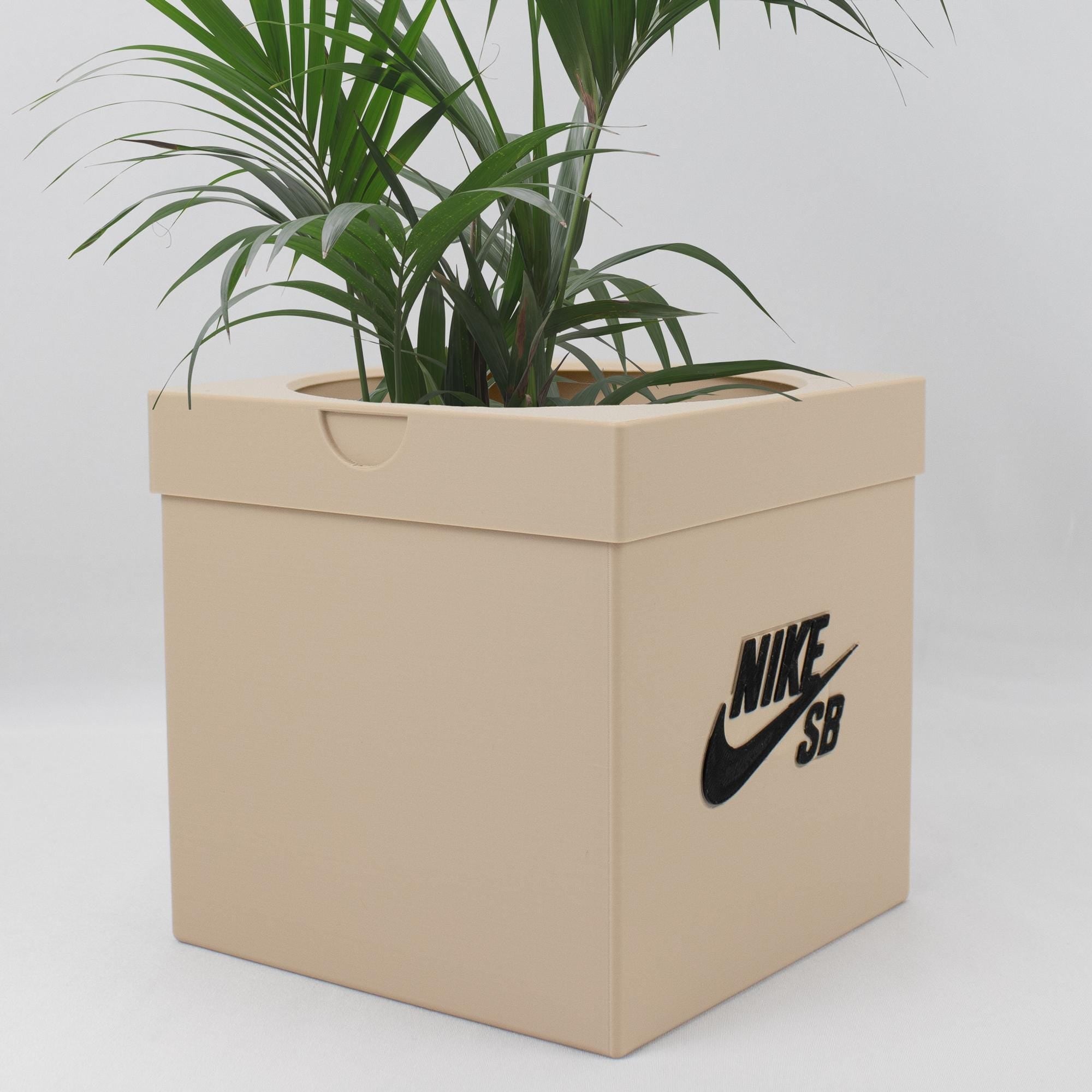 Sneaker SB Skateboarding Box Planter  Pot - 3d printed planter - Plant Pot for Indoor Plants - Unique planter with Drainage hole - SBs box