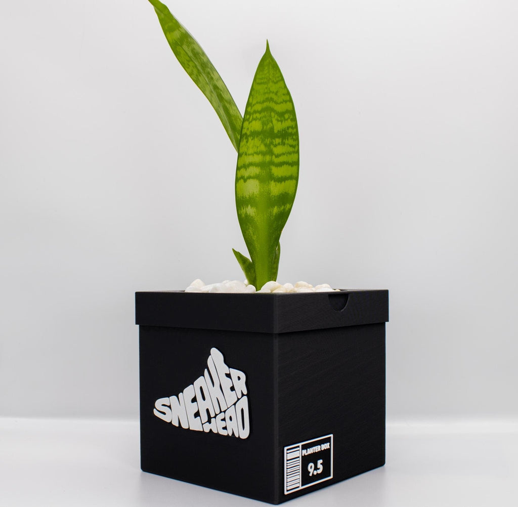 Sneakerhead Box Planter  Pot - 3d printed planter - Sneakers Box Decor - Plant Pot for Indoor Plants - Unique planter with Drainage hole