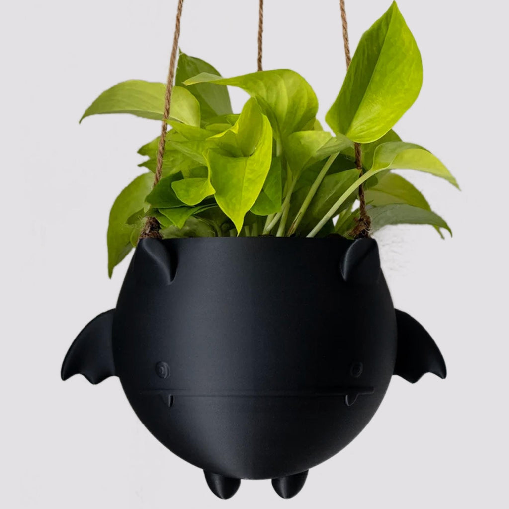 Bat Hanging Planter Pot - Hanging kit included - Flying Bat - Succulent Planter - 3D Printed - Gardening Enthusiasts- Halloween Decor