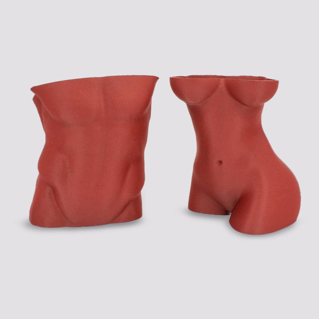 Intimate Sculpture 3D Printed Vase Modern Vase for Flowers, Body female Vase, Body man Vase Decor, Minimalist Vase