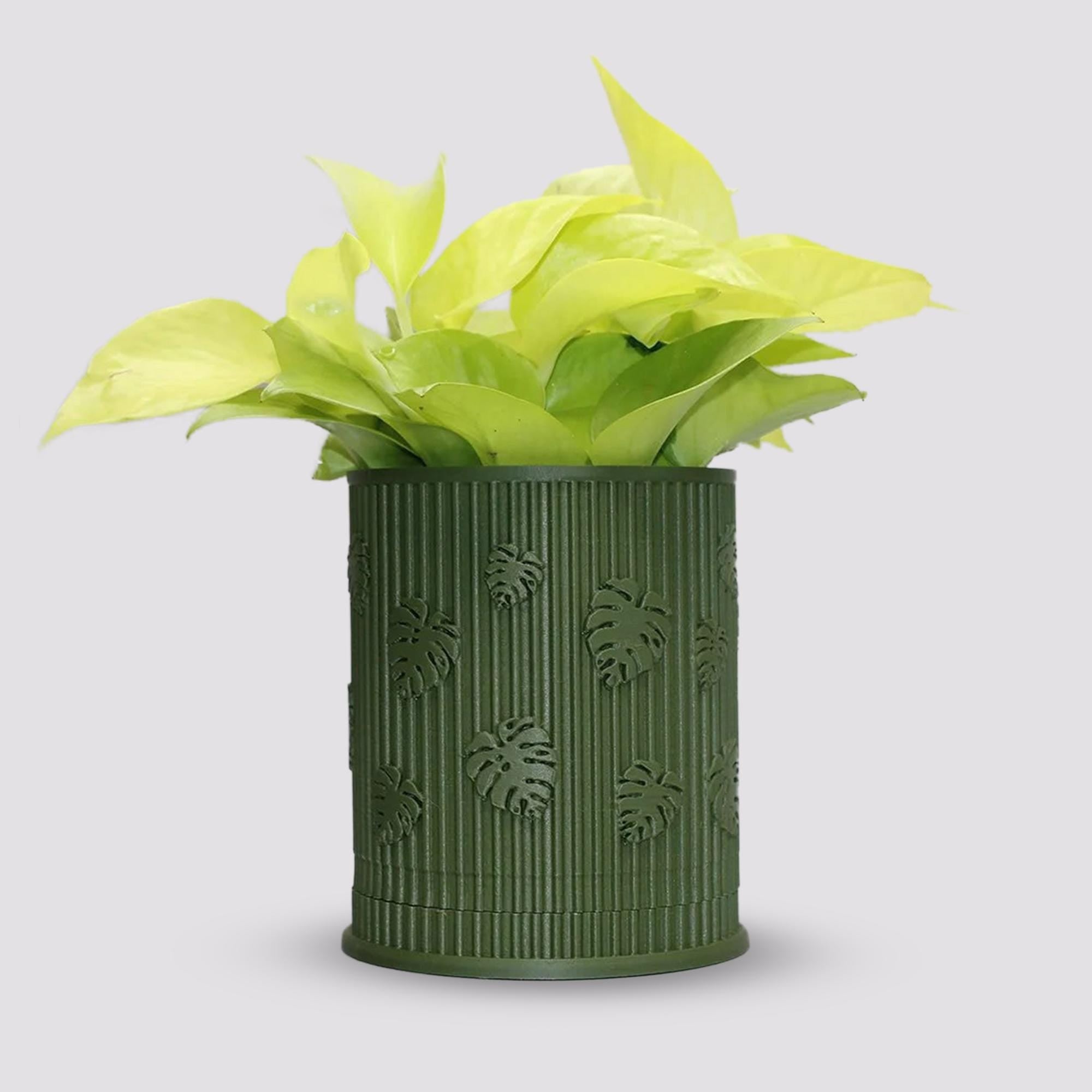 Starter Planter pot Monstera whit drain tray, 3D printed planter, plant lovers gift, valentine home decor