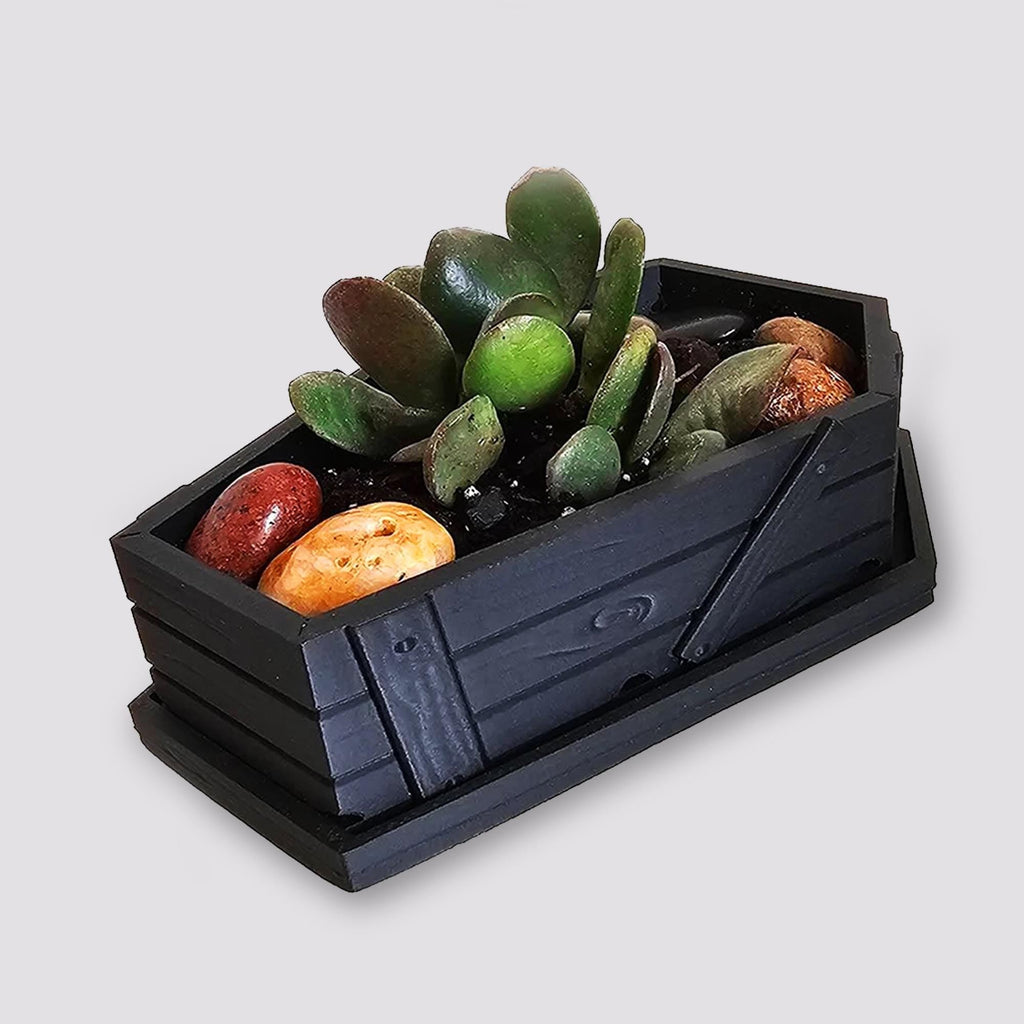 Halloween Decor Coffin - Planter Pots With Drainage - Home Decor - Spooky Plant Pot - Gothic Garden - Hoco Pucus -3D Printed Halloween decor