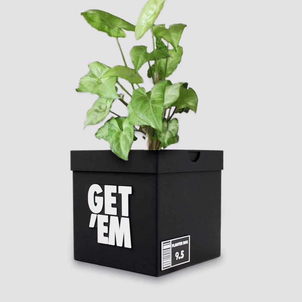 Get 'Em Sneakers Box Planter Pot - 3D Printed - Sneaker Room Decor - Sneaker Head Decor- Unique planter Get em for indoor with Drainage hole
