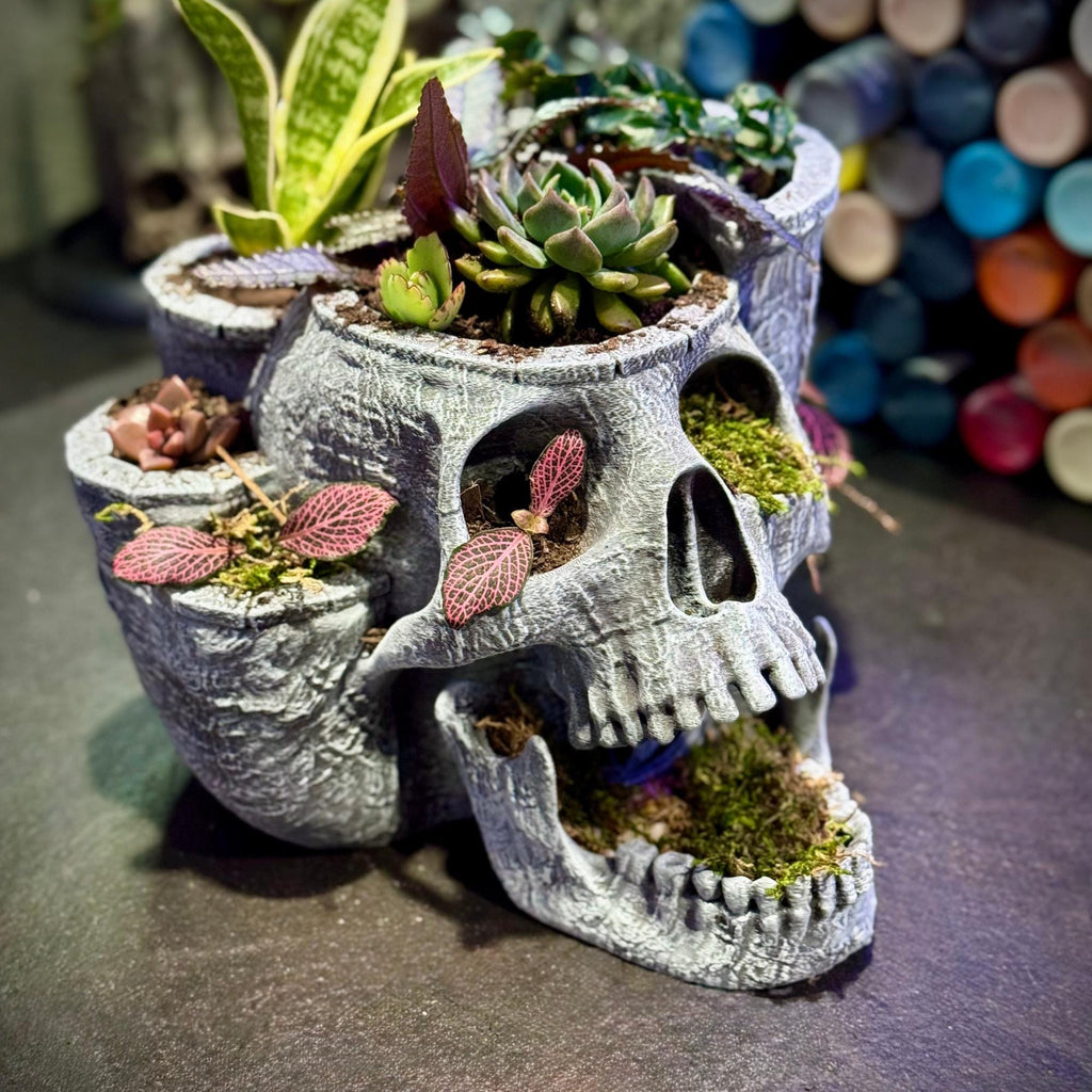 Skull garden planter With Drainage Tray - Skull Planter Pot - Succulent Planter - 3D Printed planter - halloween decor - Goth Decor Planter