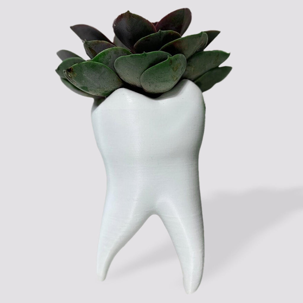 Tooth Shape Plant Pot - Cute Tooth Planter - Dentist Gift Ideas - Tooth Home Decor - Dental Office Decor - Dentist Office Pen Holder