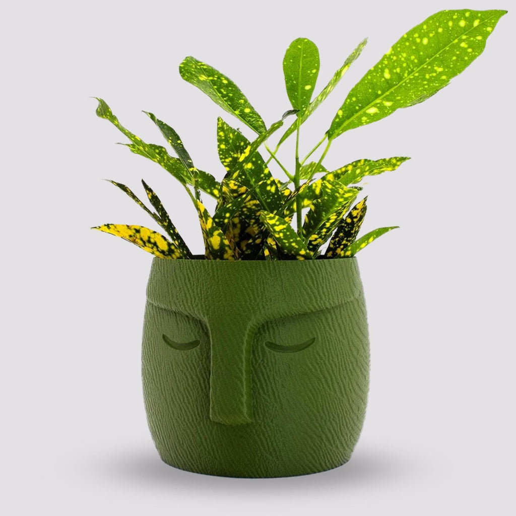 Easter Island Moai Statue Planter Pot with Drainage for Gardening Enthusiasts and Unique Housewarming Gifts