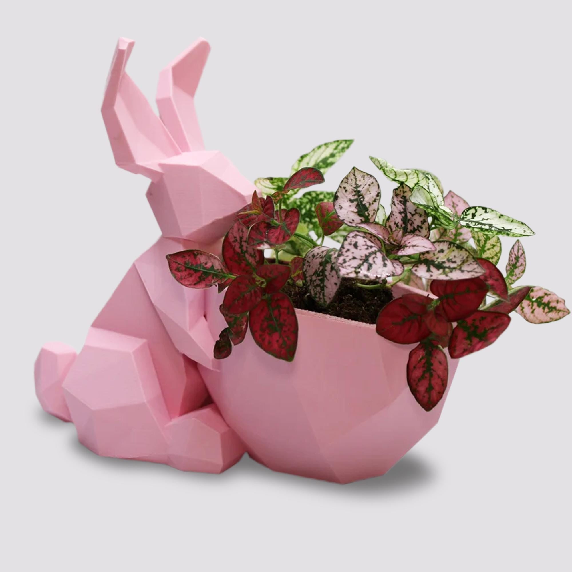 Polygonal shelter Bunny Planter - Rabbit Planter Pot Easter Decor - Easter Planter - 3D Printed Planter