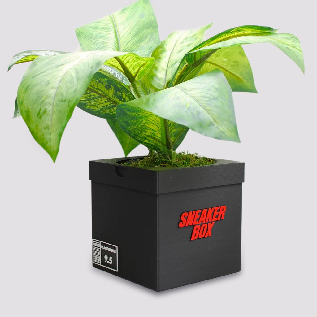Sneakers Box Planter Pot - 3d printed planter - Sneakers Box Decor - Plant Pot for Indoor Plants - Unique planter with Drainage hole