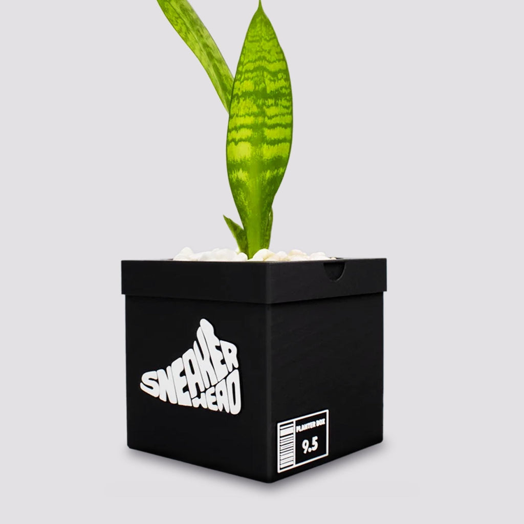 Sneakerhead Box Planter  Pot - 3d printed planter - Sneakers Box Decor - Plant Pot for Indoor Plants - Unique planter with Drainage hole