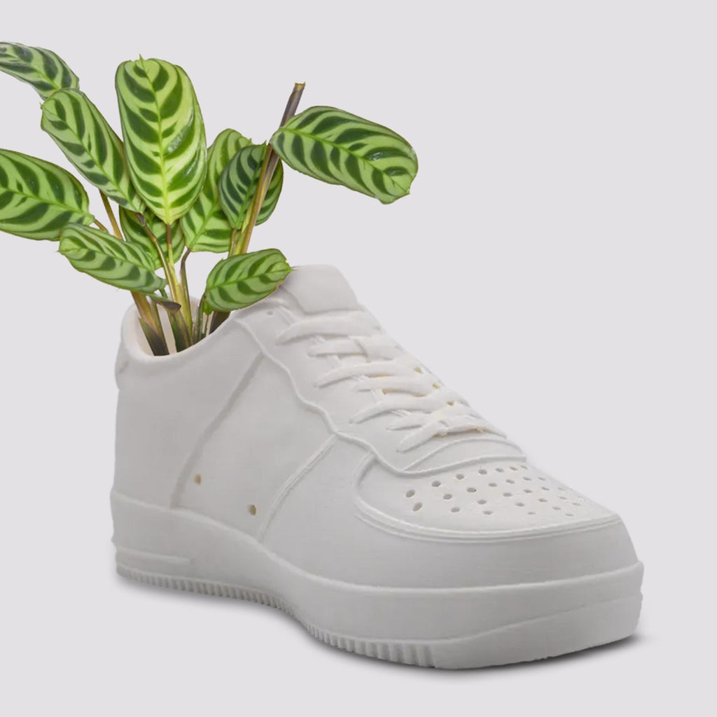 Sneakers Shoes Low Planter Pot 3D Printed - Plant Pot for Indoor Plants - Unique Planter For Indoor With Drainage Hole
