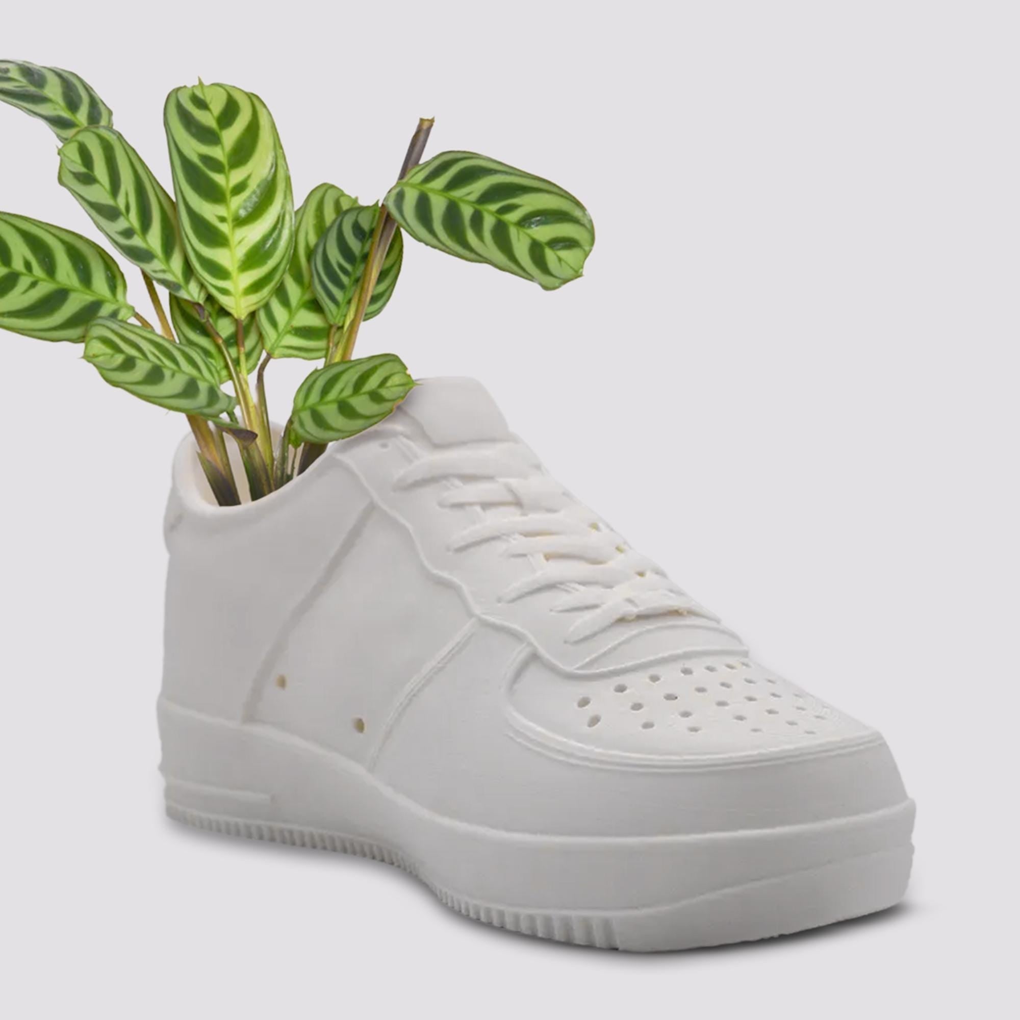 Sneakers Shoes Low Planter Pot 3D Printed - Plant Pot for Indoor Plants - Unique Planter For Indoor With Drainage Hole