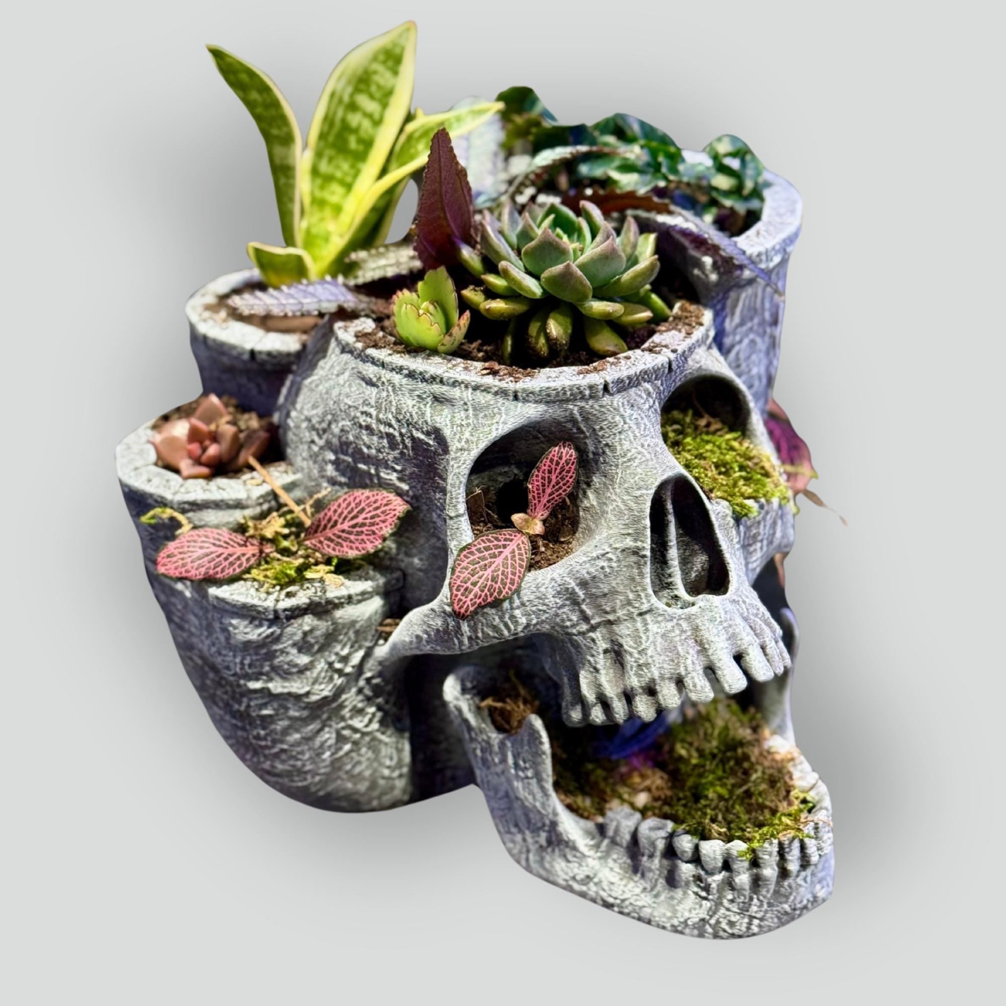 Skull garden planter With Drainage Tray - Skull Planter Pot - Succulent Planter - 3D Printed planter - halloween decor - Goth Decor Planter
